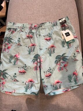 Men's Light Blue Flamingo Print Swim Shorts ripcurl Boca volley